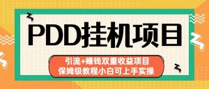 拼多多挂机项目 引流+赚钱双重收益项目(保姆级教程小白可上手实操)-送财鼠