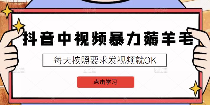 2022抖音中视频暴力薅羊毛白嫖项目：新号每天20块，老号几天几百块，可多号￼-送财鼠
