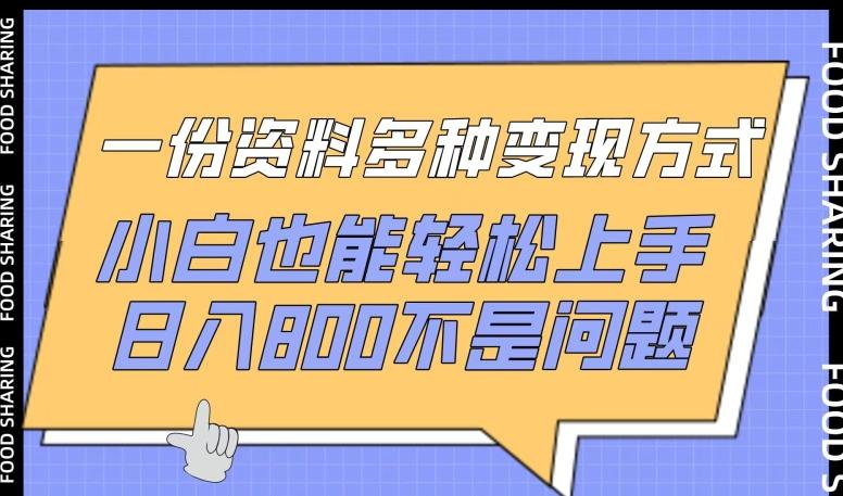 一份资料多种变现方式，小白也能轻松上手，日入800不是问题【揭秘】-送财鼠