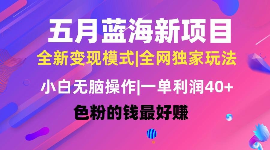 五月蓝海项目全新玩法，小白无脑操作，一天几分钟，矩阵操作，月入4万+-送财鼠