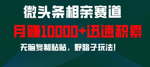 微头条相亲赛道，迅速积累，无脑复制粘贴，野路子玩法，月入1w-送财鼠
