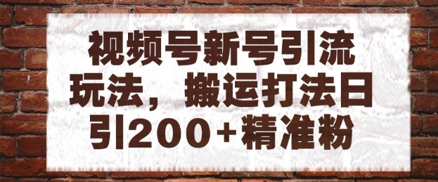 视频号新号引流玩法，搬运打法日引200+精准粉，可矩阵放大【揭秘】-送财鼠