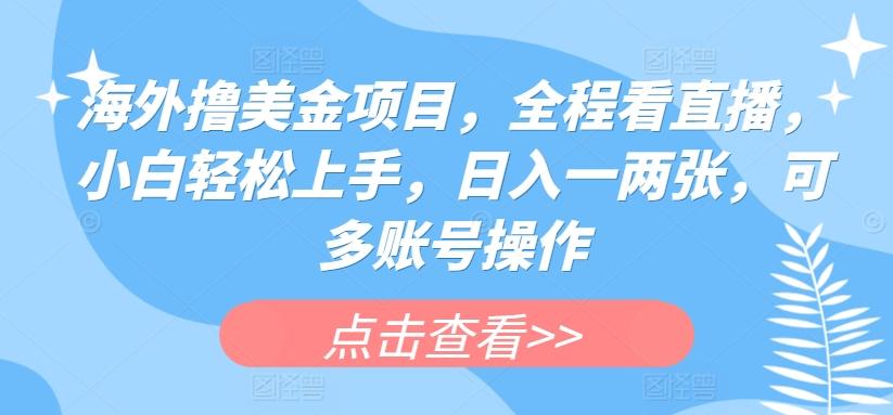 海外撸美金项目，全程看直播，小白轻松上手，日入一两张，可多账号操作【揭秘】-送财鼠
