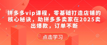 拼多多vip课程，零基础打造店铺的核心秘诀，助拼多多卖家在2025卖出爆款，订单不断-送财鼠
