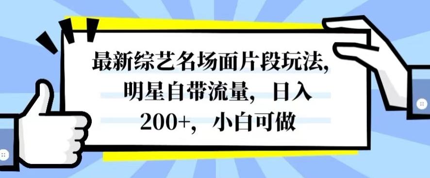 最新综艺名场面片段玩法，明星自带流量，日入200+，小白可做【揭秘】-送财鼠