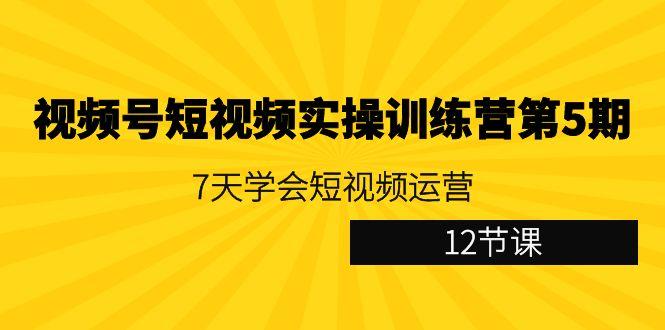 视频号短视频实操训练营第5期：7天学会短视频运营(12节课)-送财鼠