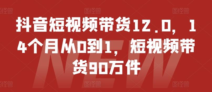 抖音短视频带货12.0，14个月从0到1，短视频带货90万件-送财鼠