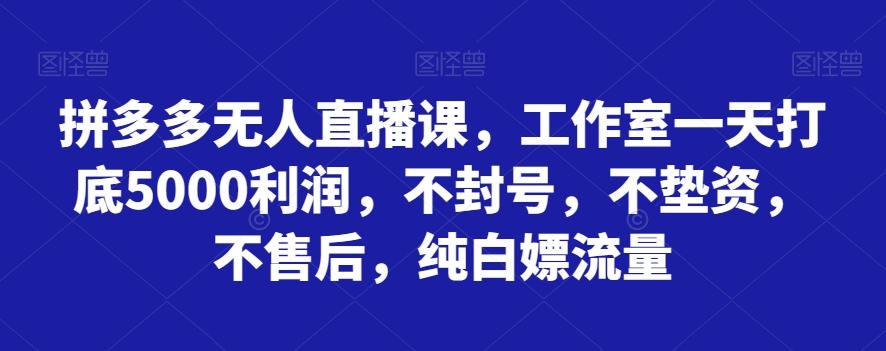 拼多多无人直播课，工作室一天打底5000利润，不封号，不垫资，不售后，纯白嫖流量-送财鼠