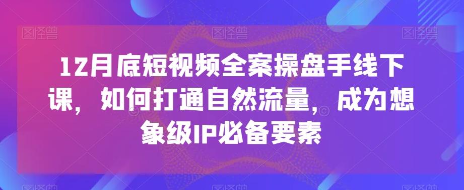 12月底短视频全案操盘手线下课，如何打通自然流量，成为想象级IP必备要素-送财鼠