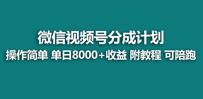 【蓝海项目】视频号分成计划最新玩法，单天收益8000+，附玩法教程，24年...-送财鼠