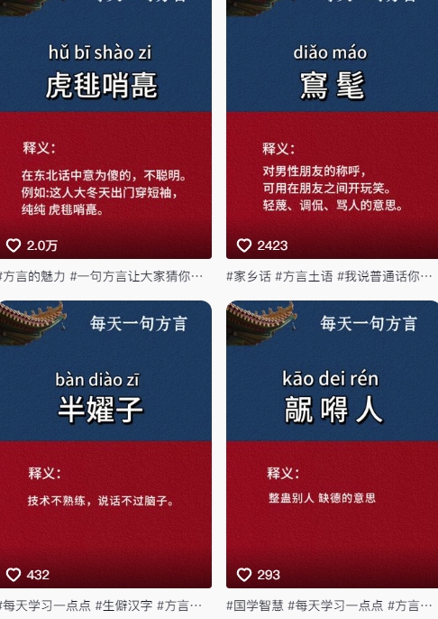 抖音最新涨粉玩法，图文方言暴力涨粉实操，126作品涨粉11W-送财鼠