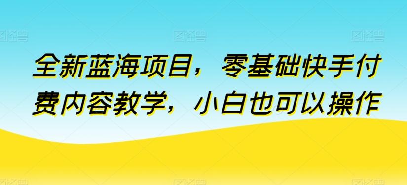 全新蓝海项目，零基础快手付费内容教学，小白也可以操作【揭秘】-送财鼠