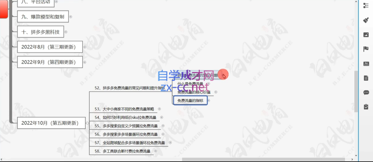 白凤电商·拼多多日销千单训练营(更新10月)-送财鼠