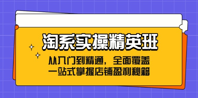 淘系实操精英班：从入门到精通，全面覆盖，一站式掌握店铺盈利秘籍-送财鼠