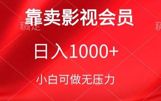 靠卖影视会员，日入1000+，落地保姆级教程，新手可学【揭秘】-送财鼠