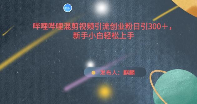 哔哩哔哩混剪视频引流创业粉日引300+，新手小白轻松上手【揭秘】-送财鼠