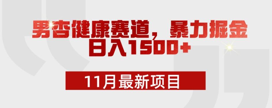 11月最新项目，男杏健康赛道，暴力掘金，日入1500+-送财鼠