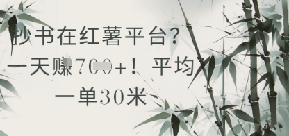抄书在小红薯平台？平均一单30米，一天收益几张！-送财鼠