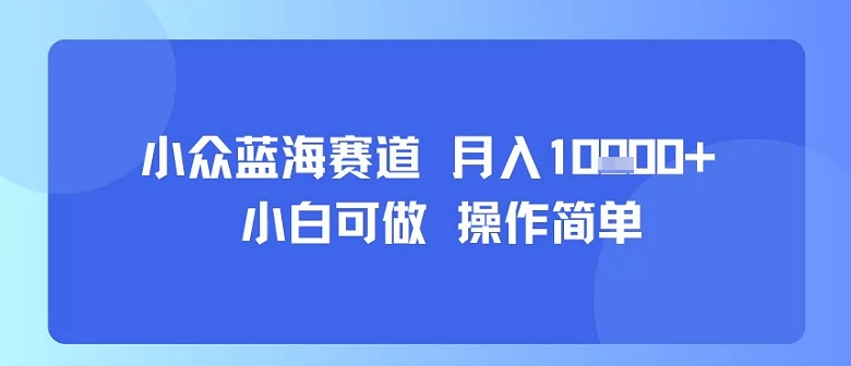 小众蓝海赛道，小白可做，操作简单，每天30分钟，月入1W+-送财鼠