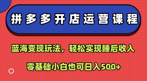 拼多多开店运营课程：蓝海变现玩法，轻松实现睡后收入，零基础小白也可日入5张-送财鼠