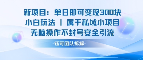 新项目单日即可变现3张的小白玩法无脑操作不封号安全引流-送财鼠