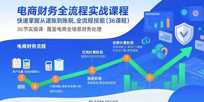 电商财务全流程实战课程：快速掌握从建账到报税的全流程技能(36节课-送财鼠