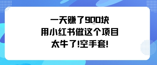 一天挣了9张用小红书做这个项目太牛了，空手套-送财鼠
