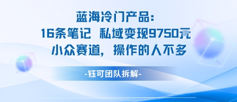 蓝海项目：16条笔记私域变现9750米小众赛道操作的人不多-送财鼠