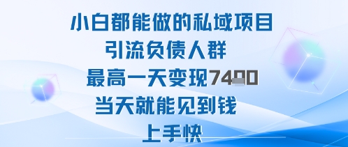 2025年小白都能做的私域项目引流负债人群最高一天变现1k+高变现难度低当天就能见到钱上手快-送财鼠