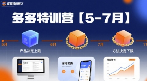 多多特训营，产品决定上限，方法决定下限，各种玩法技巧落地实操(更新)-送财鼠