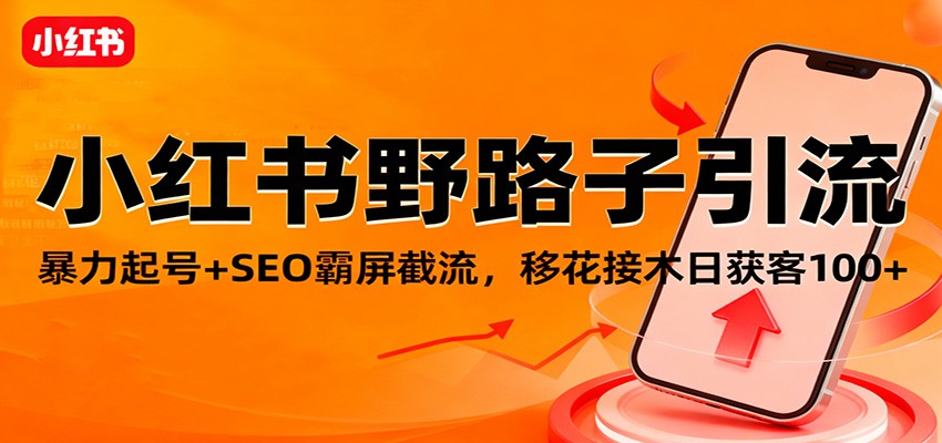 小红书野路子引流，暴力起号+SEO霸屏截流，移花接木日获客100+-送财鼠