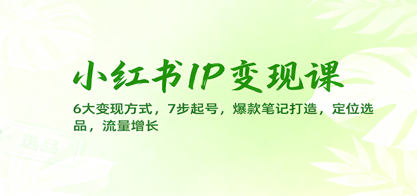 小红书IP变现课：6大变现方式，7步起号，爆款笔记打造，定位选品，流量增长-送财鼠