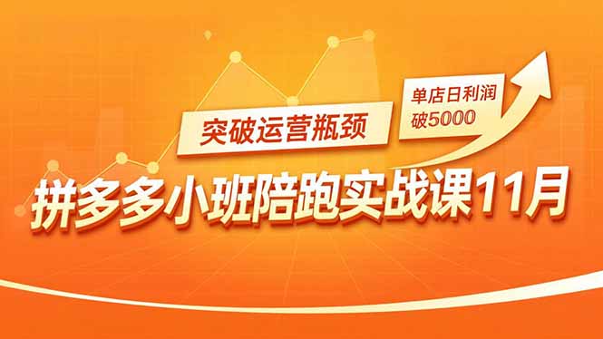 拼多多小班陪跑实战课11月，强付费矩阵、原价活动、暗券引流，突破运营瓶颈，单店日利润破5000-送财鼠