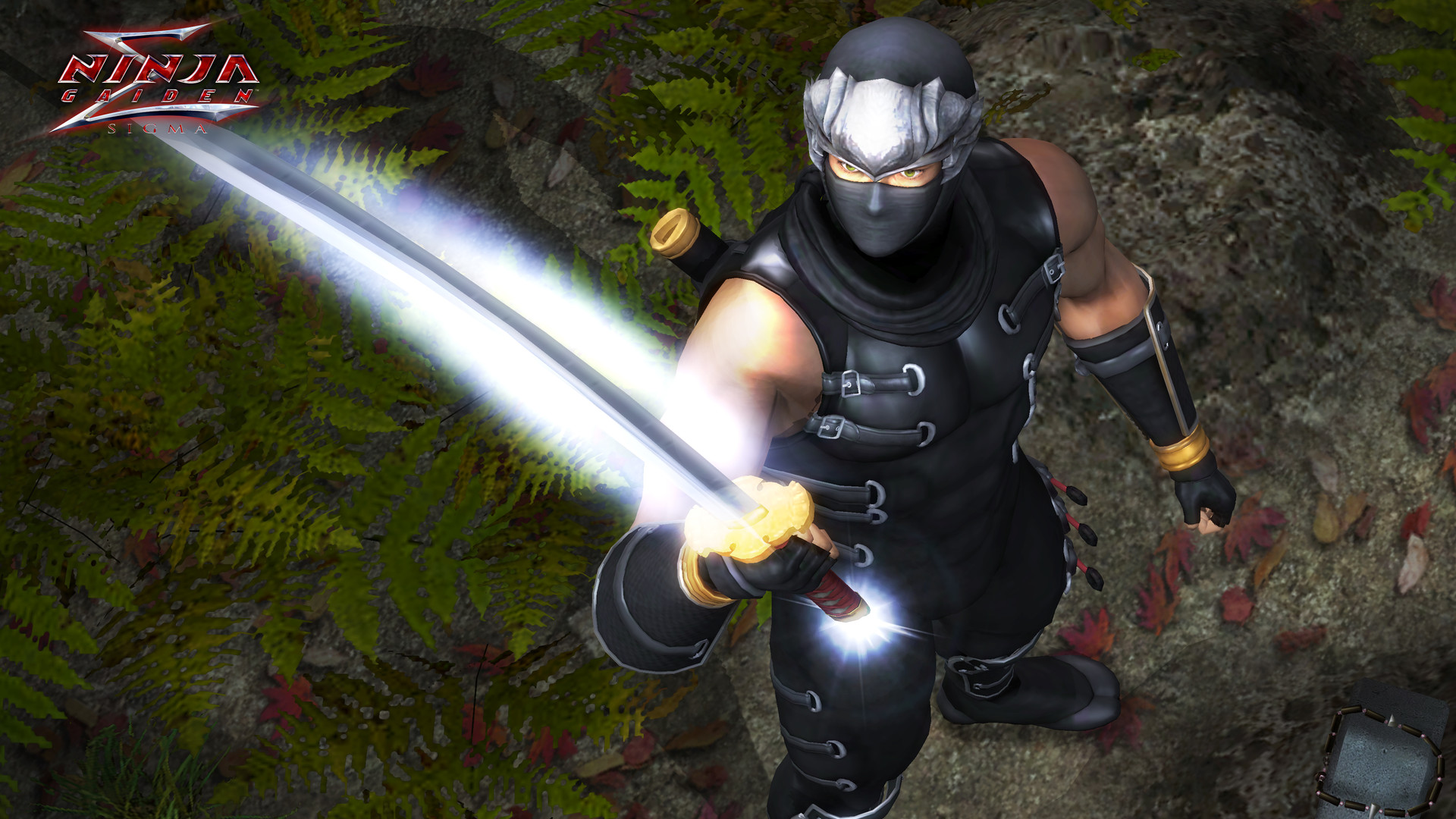 《忍者龙剑传：大师合集/NINJA GAIDEN: Master Collection》PC中文版下载-含v1.0.0.3-送财鼠