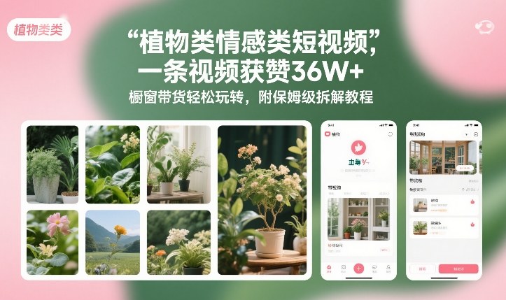 植物类情感类短视频，一条视频获赞36W+，橱窗带货轻松玩转，附保姆级拆解教程-送财鼠