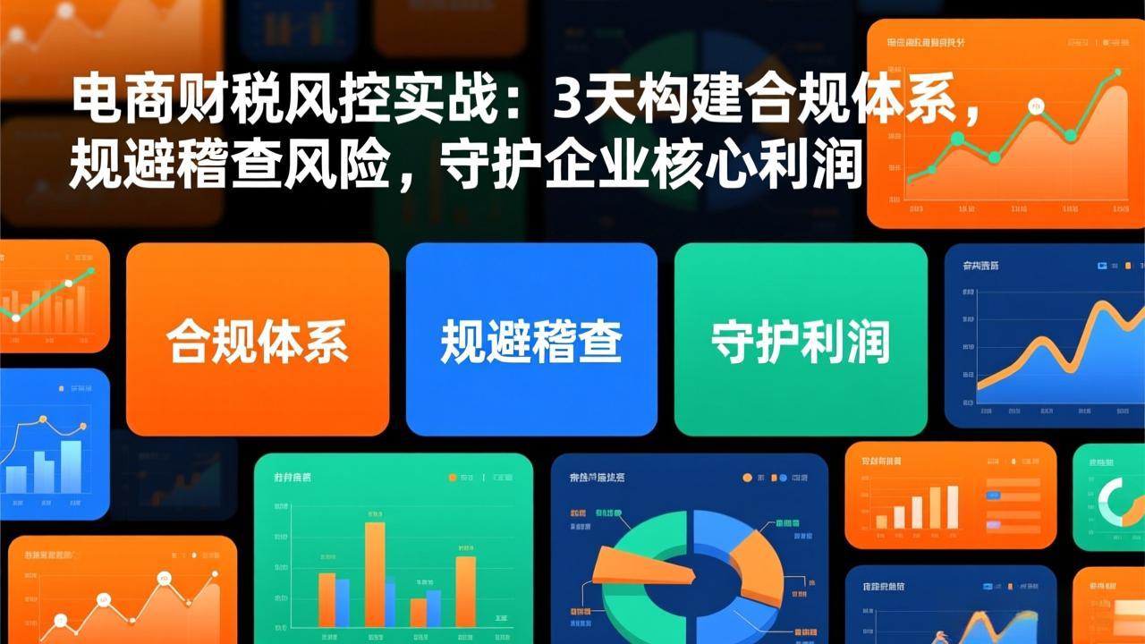 电商财税风控实战：3天构建合规体系，规避稽查风险，守护企业核心利润-送财鼠