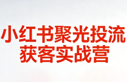 永曜·小红书聚光投流获客实战营-送财鼠