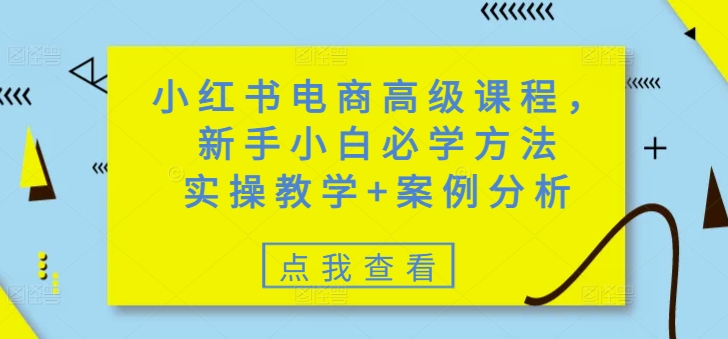 小红书电商高级课程，新手小白必学方法，实操教学+案例分析-送财鼠