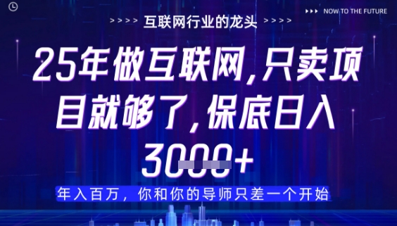 什么！25年你还在找项目做？风口早就变了，卖项目才是稳挣不赔【揭秘】-送财鼠