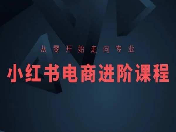 从零开始走向专业，小红书电商进阶课程-送财鼠