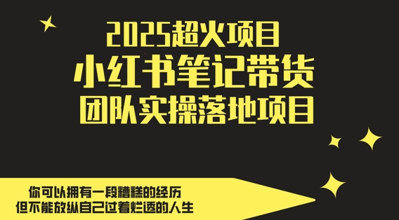 2025超火项目，副业最佳选择，小红书笔记带货团队实操落地项目，，轻松日入5张-送财鼠