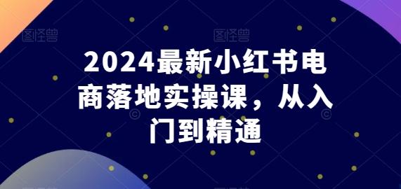 2024最新小红书电商落地实操课，从入门到精通-送财鼠