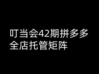 叮当会拼多多打爆班原创高阶技术第42期，拼多多全店托管矩阵-送财鼠