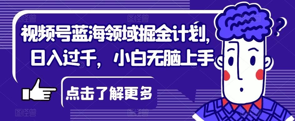 视频号蓝海领域掘金计划，日入过千，小白无脑上手【揭秘】-送财鼠
