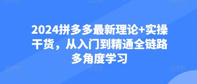 2024拼多多最新理论+实操干货，从入门到精通全链路多角度学习-送财鼠