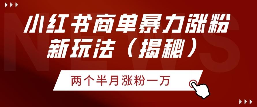 小红书商单暴力涨粉新玩法两个半月涨粉一万（揭秘）-送财鼠