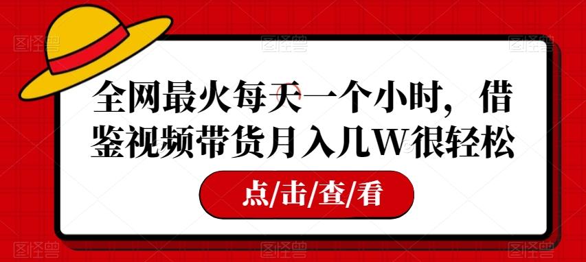 全网最火每天一个小时,借鉴视频带货月入几W很轻松【揭秘】