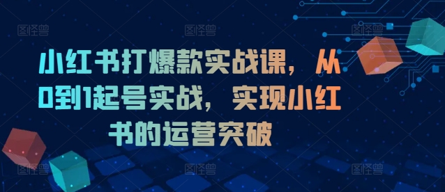小红书打爆款实战课，从0到1起号实战，实现小红书的运营突破-送财鼠