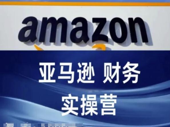 亚马逊财务核算实操营-亚马逊跨境电商教程-送财鼠