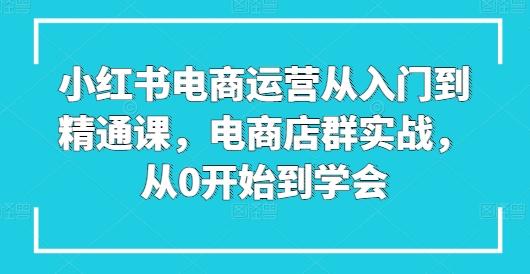 小红书电商运营从入门到精通课，电商店群实战，从0开始到学会-送财鼠